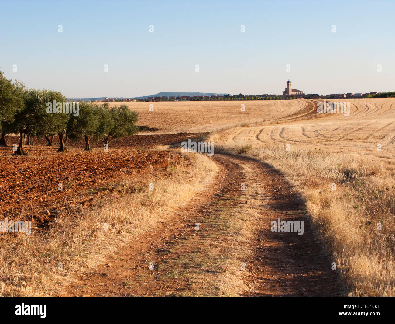 Picture of a summer landscape with great sun and blue sky Stock Photo ...