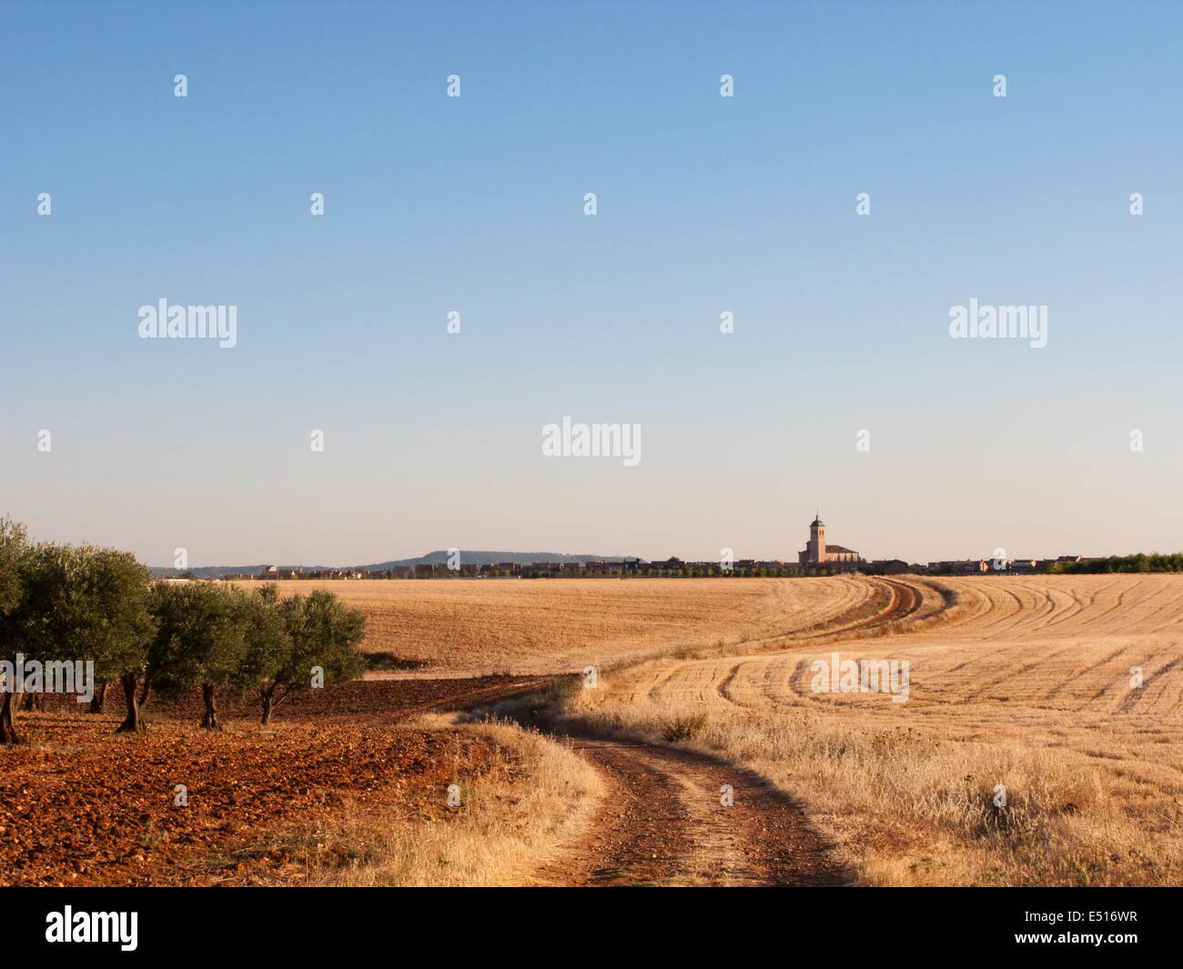 Picture of a summer landscape with great sun and blue sky Stock Photo ...