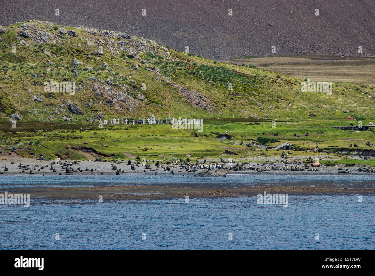 Whalers Base Leith Harbour South Georgia Stock Photo Alamy