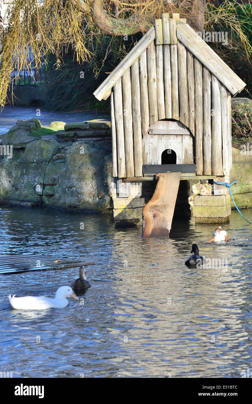 duck House by pond Stock Photo