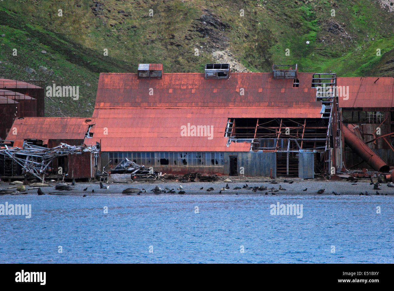 Whalers base Stromness, South Georgia Stock Photo
