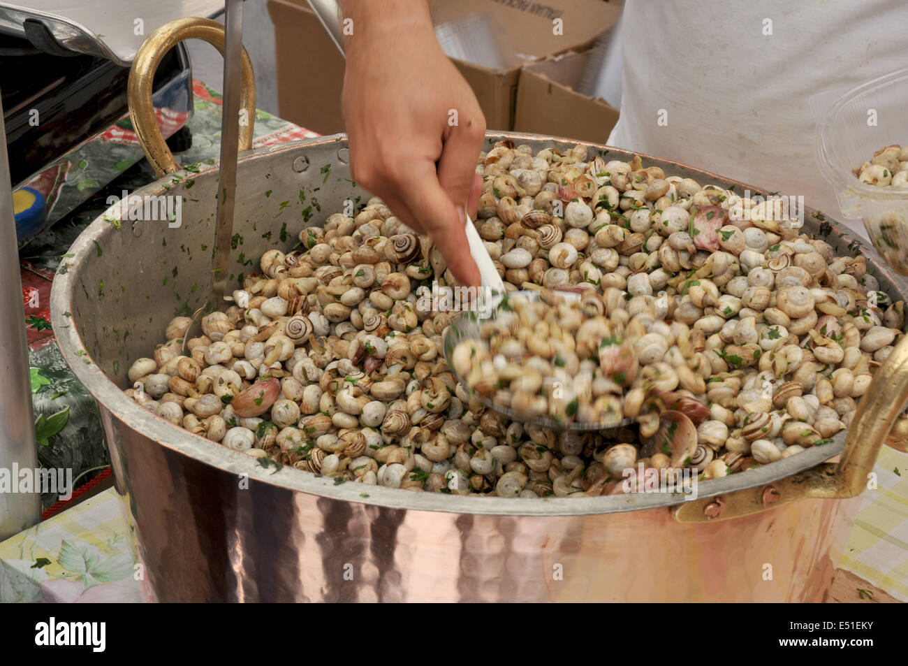 Palermo, Santa Rosalia, 390 Festino, preparation of snails, traditional food, Sicily, Italy, Europe Stock Photo