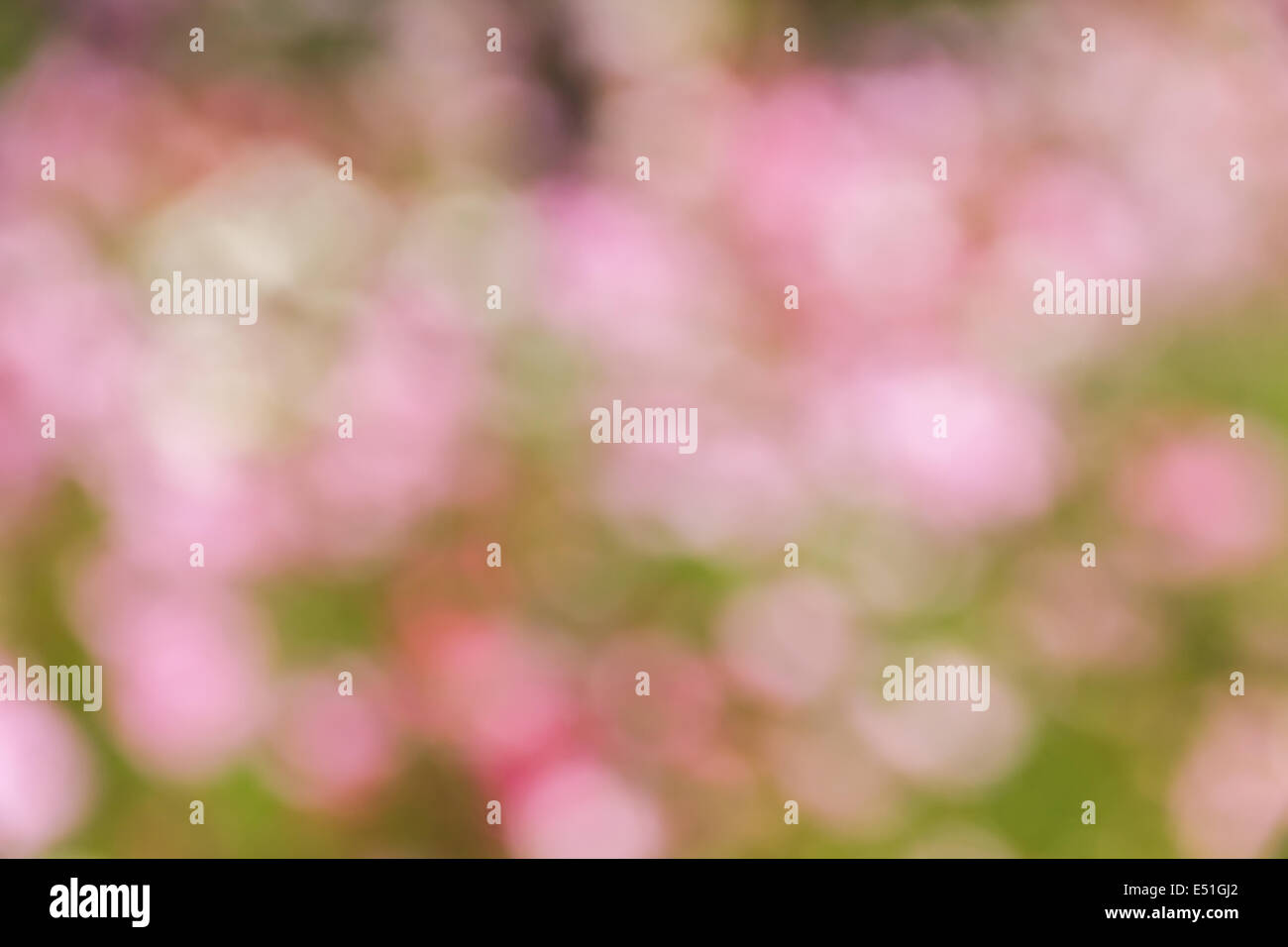 Red and yellow and pink and green hi-res stock photography and images ...