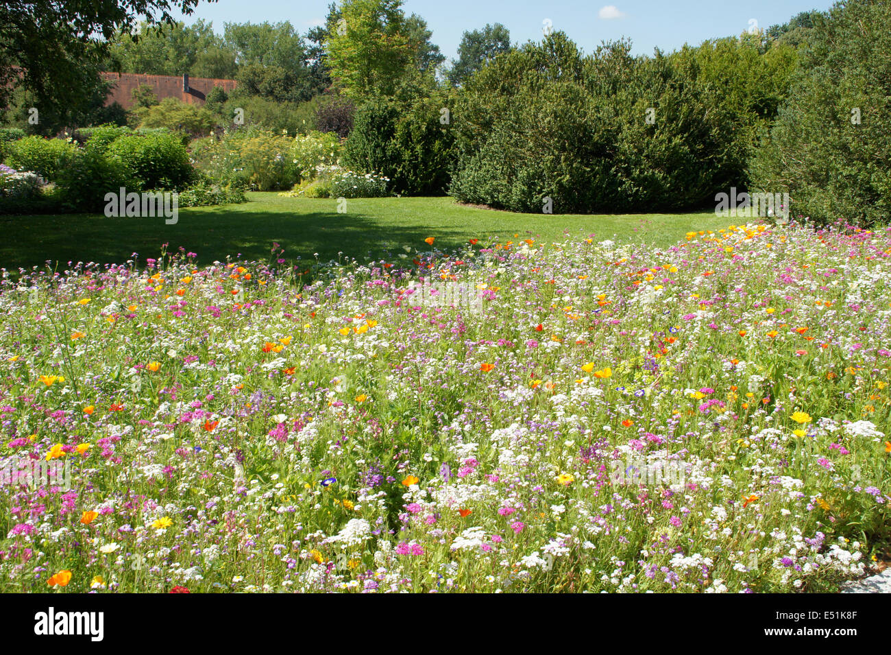 Plant flower bed hi-res stock photography and images - Alamy