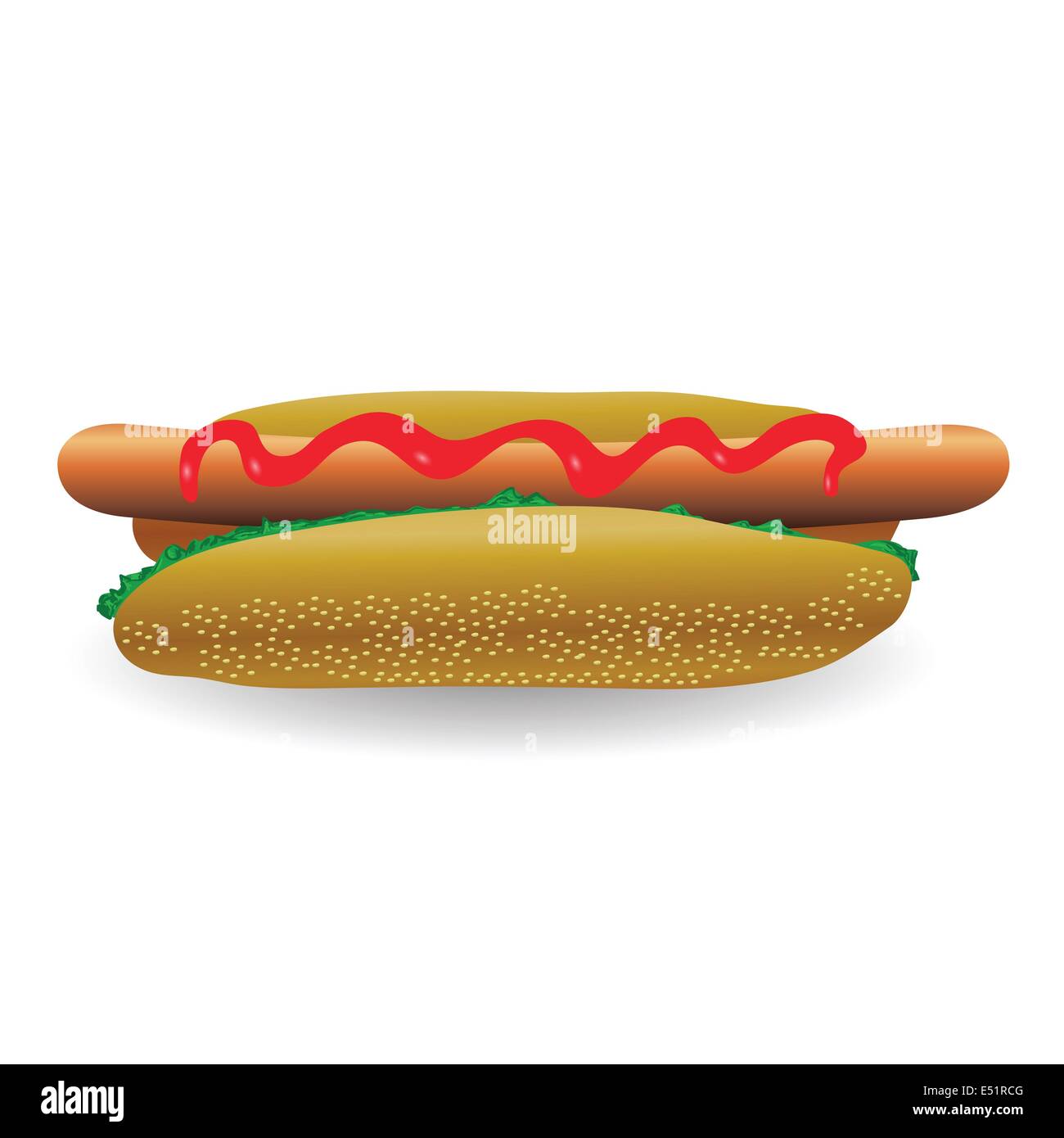 fresh hot dog Stock Photo