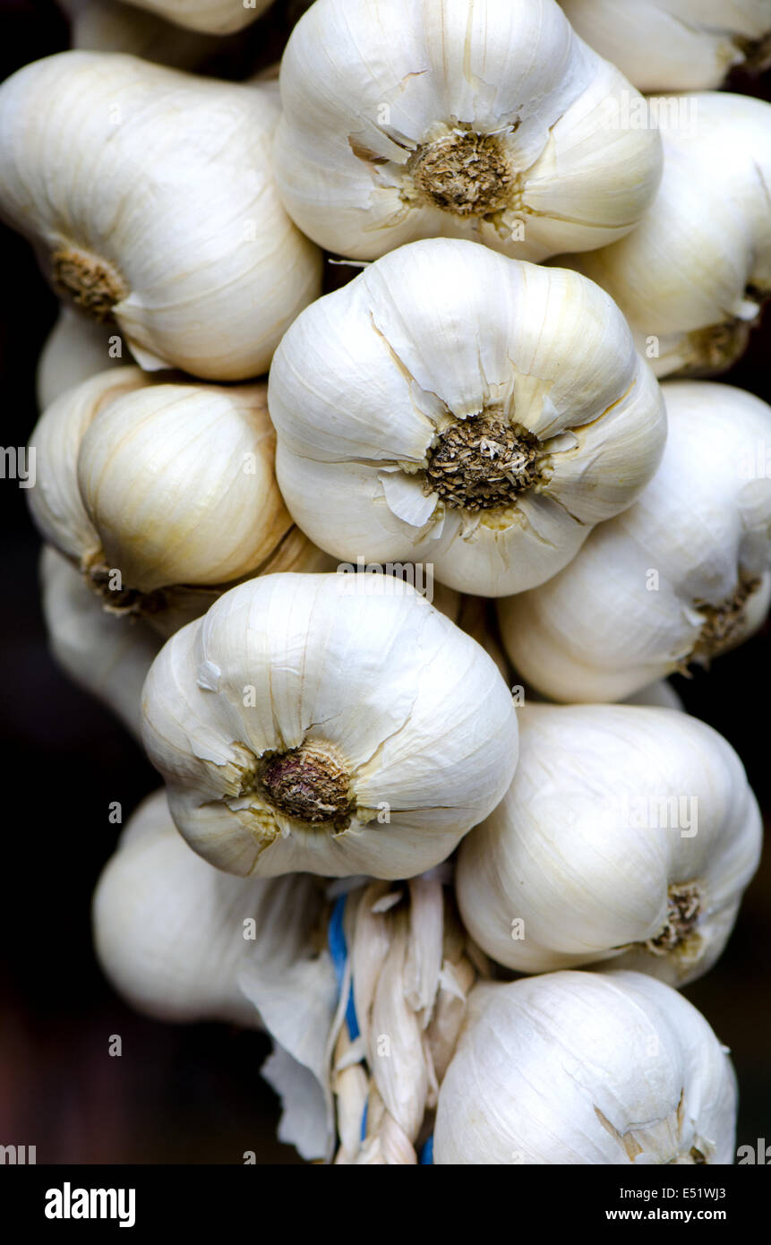 Garlic Plait close up Stock Photo