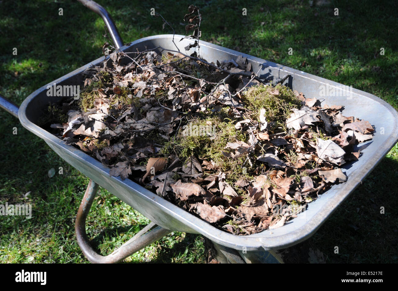 Gardenwastes Stock Photo Alamy