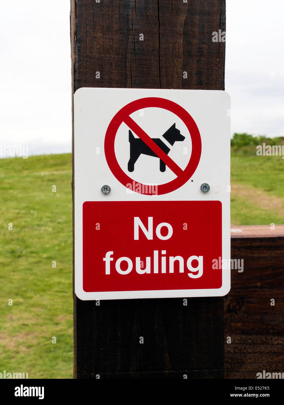 A Notice sign no dog fouling Stock Photo