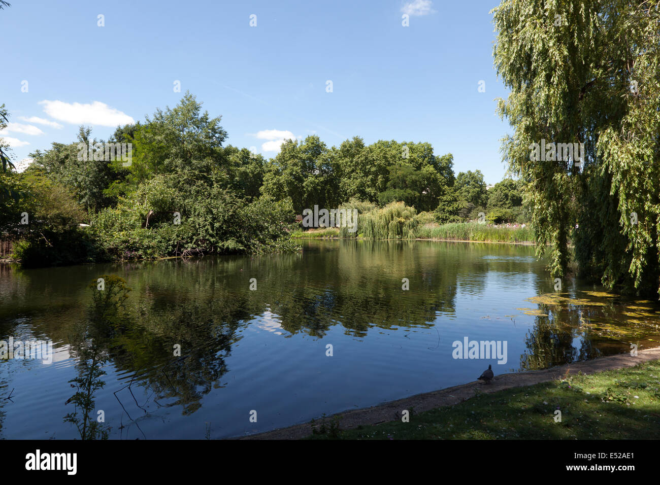 View of St James's Park Lake, City of Westminster, London. Stock Photo
