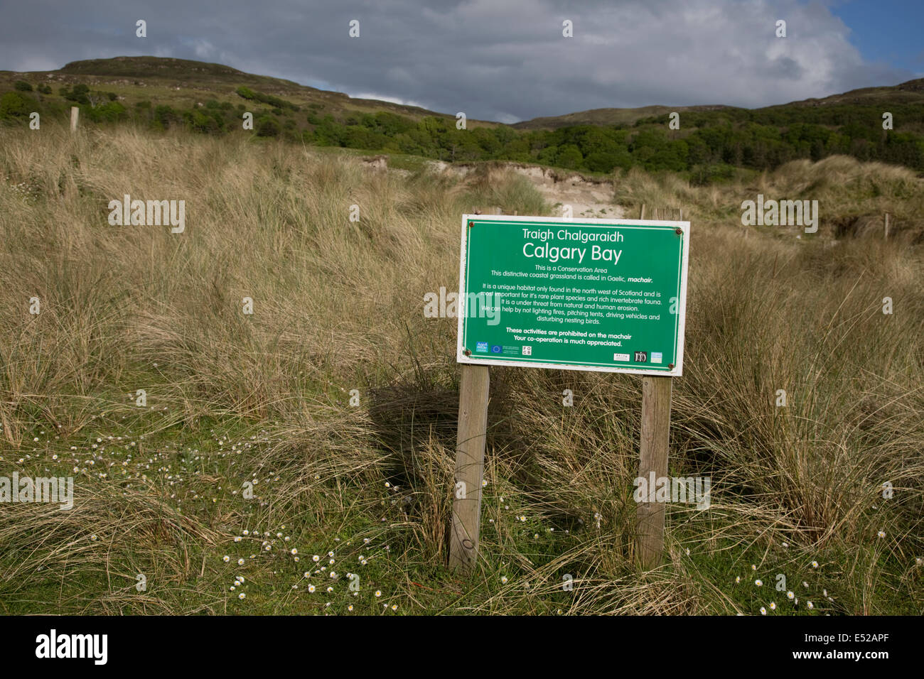 Sign protect machair habitat coastal grassland Calgary Bay Isle of Mull Scotland Stock Photo