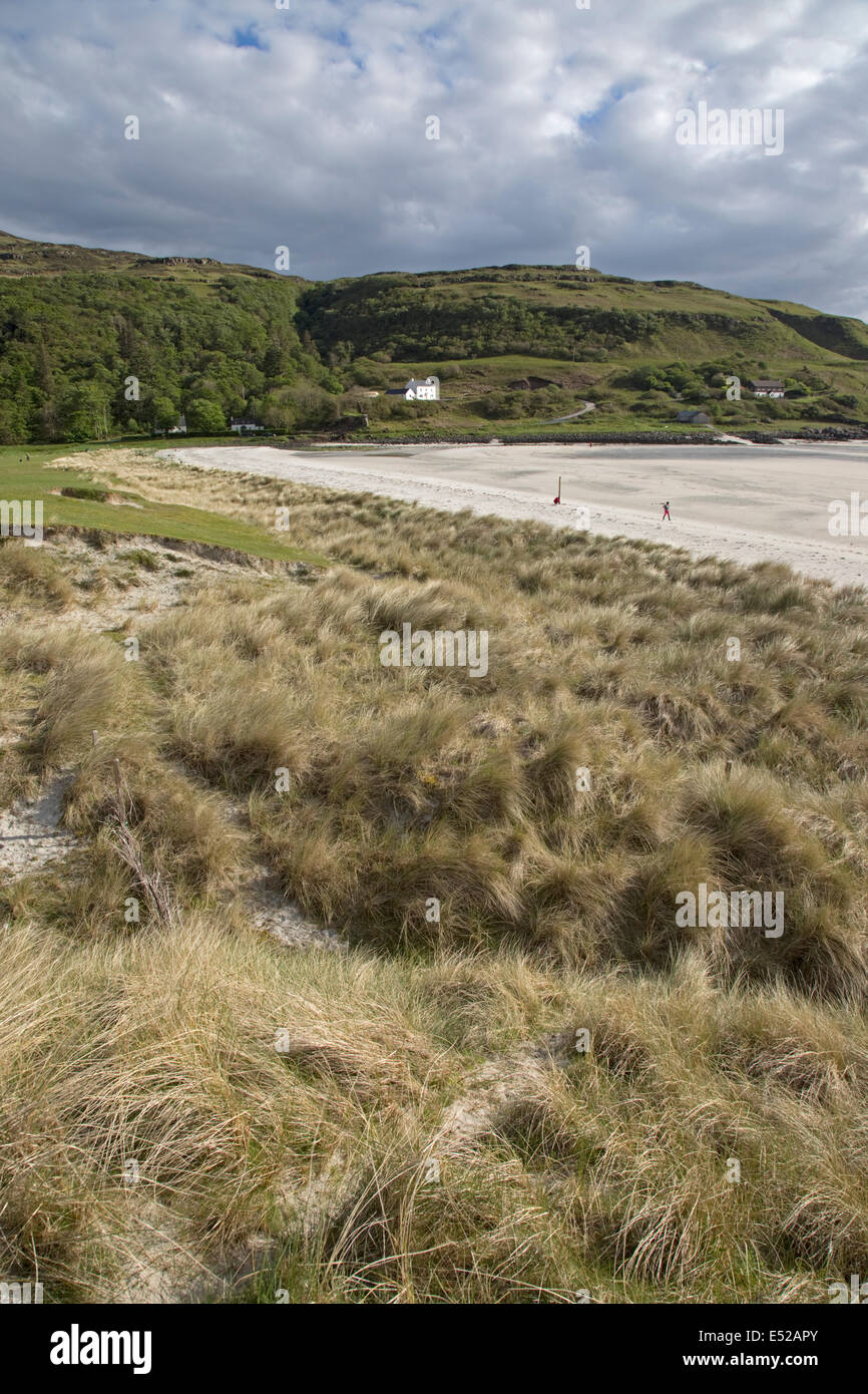 Coastal grassland sand dunes and beach Calgary Bay Isle of Mull Scotland Stock Photo