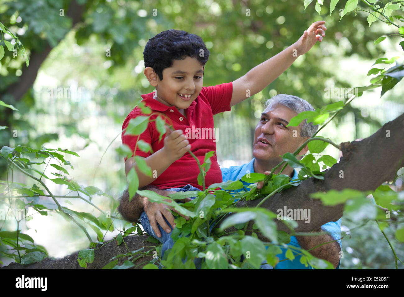 Boy playing with plants while sitting on a tree branch Stock Photo