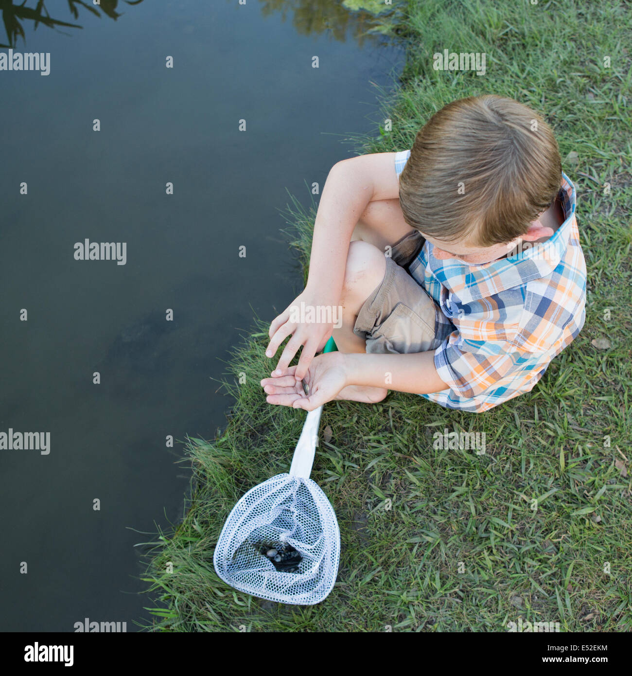 A young boy sitting on a river bank, examining a small fish, a tiddler he scooped up in a net. Stock Photo