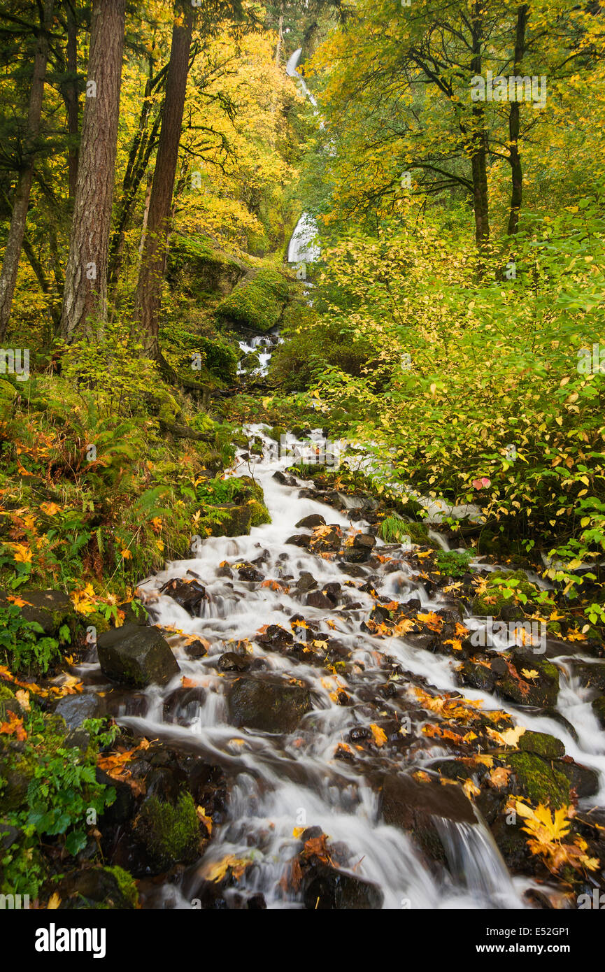 Starvation Creek Falls, the stream and view of the waterfall in the Columbia river gorge. Stock Photo