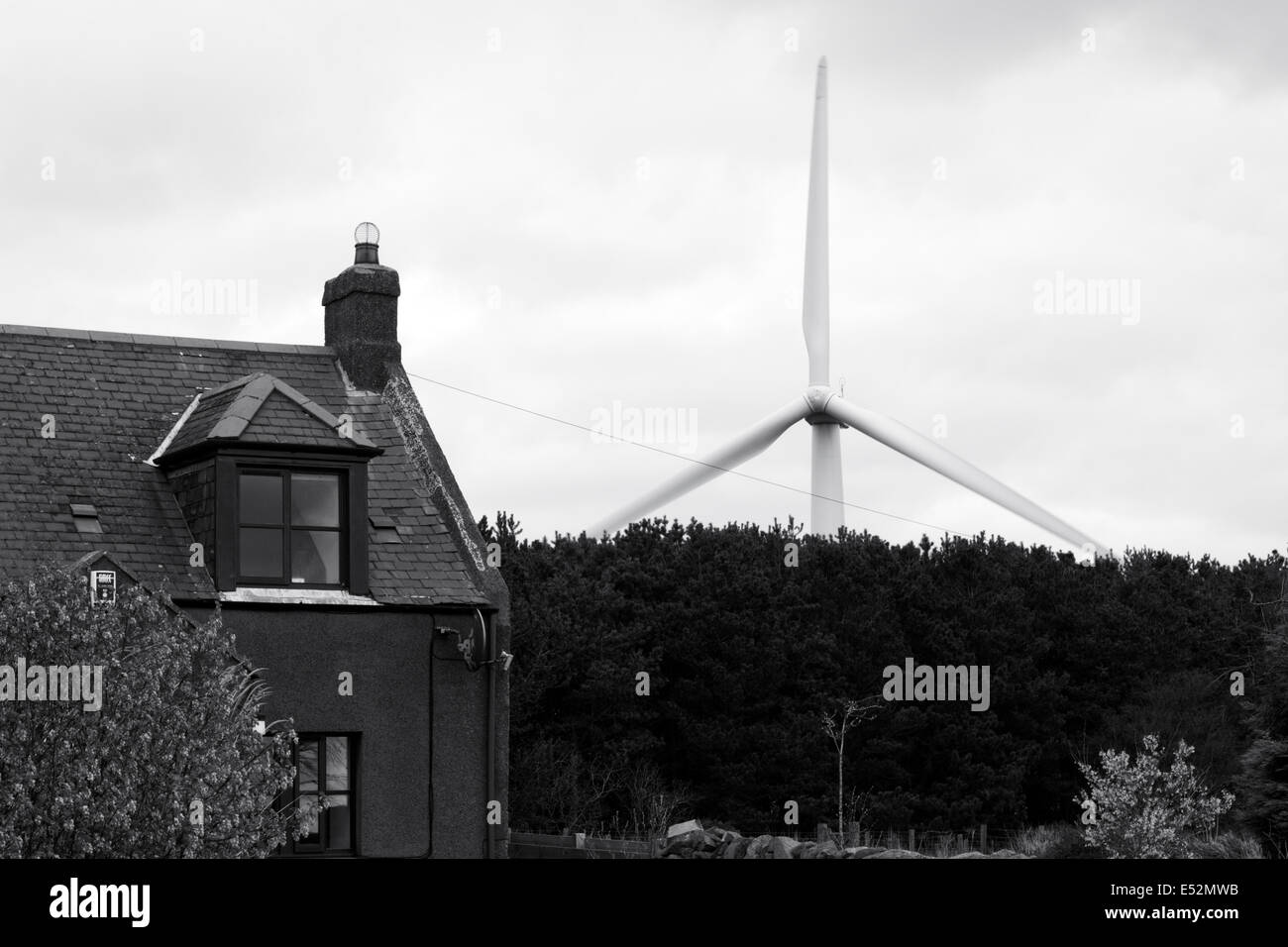 Wind Turbine Near House at Drone Hill Windfarm, Coldingham, Scotland UK Stock Photo