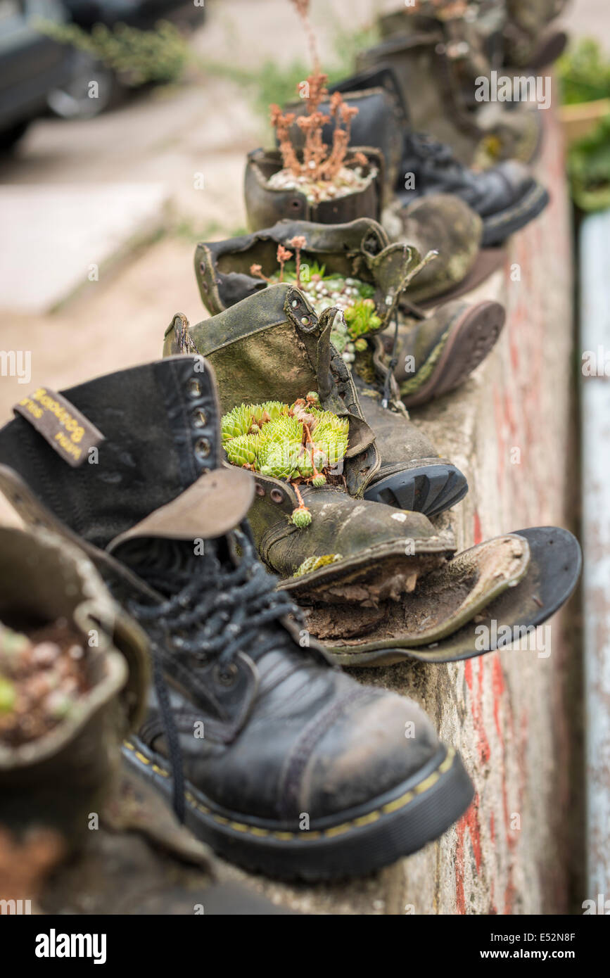 Old leather boots used as planting pots Stock Photo