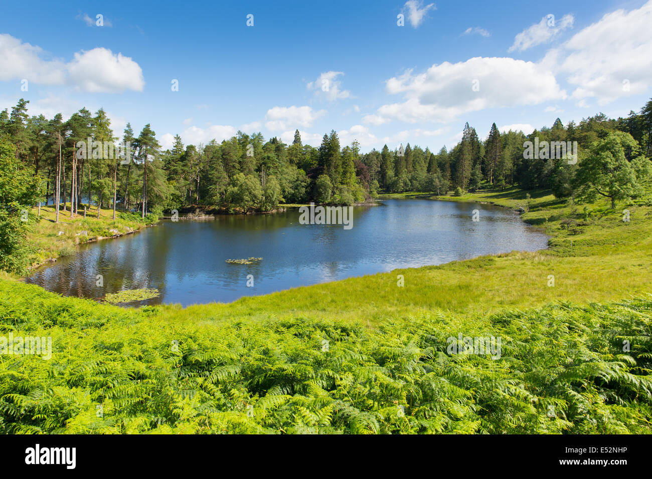Beautiful lake surrounded by woodland and trees with blue sky and clouds Stock Photo