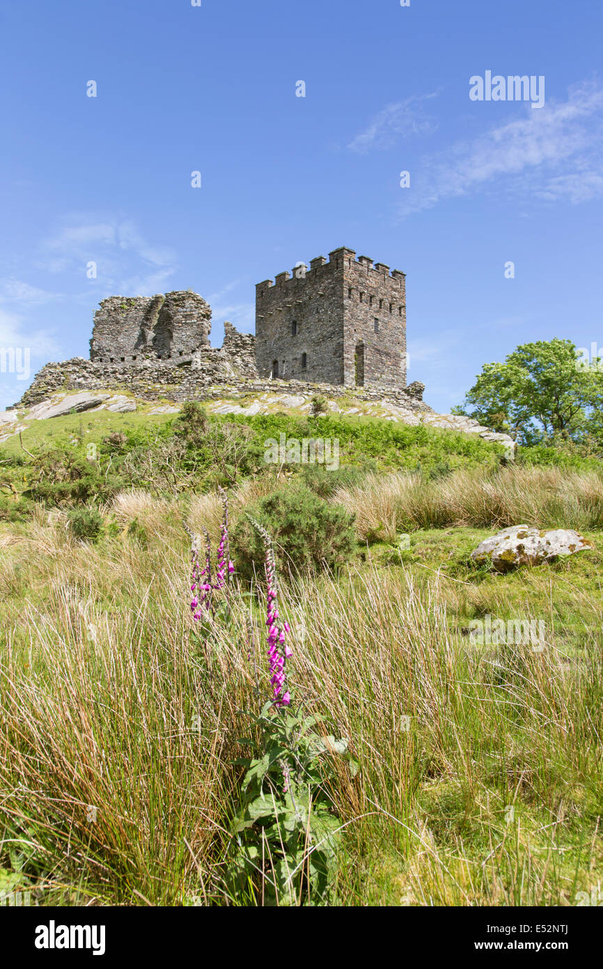 Dolwyddelan Castle near the village of Dolwyddelan, Snowdonia National Park, North Wales UK Stock Photo