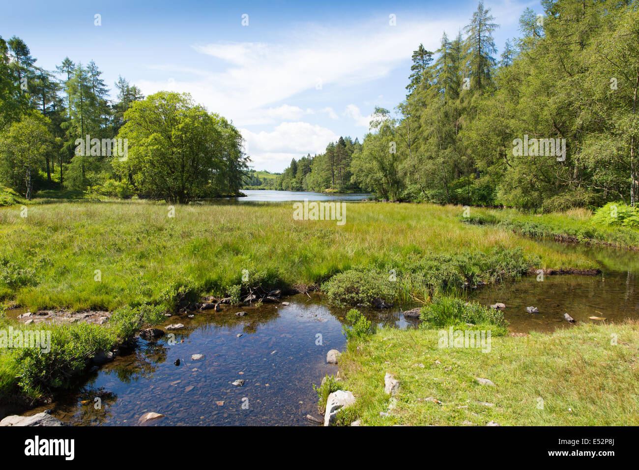 Tarn Hows The Lakes Lake District National Park England uk on a beautiful sunny blue sky summer day with no rain Stock Photo