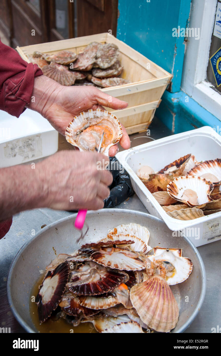 Preparing scallops Paris France Stock Photo Alamy