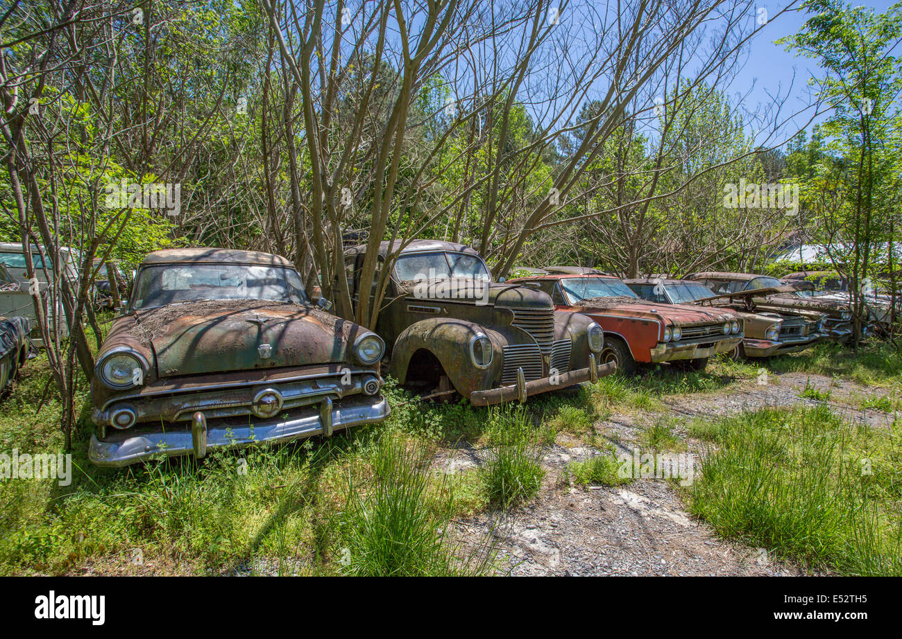 Rusted junk cars and trucks in Old Car City in White Stock