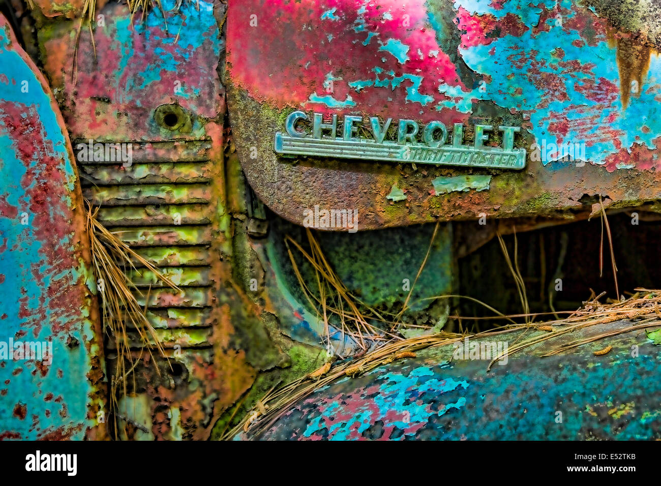 Rusted junk cars and trucks in Old Car City in White Georgia Stock