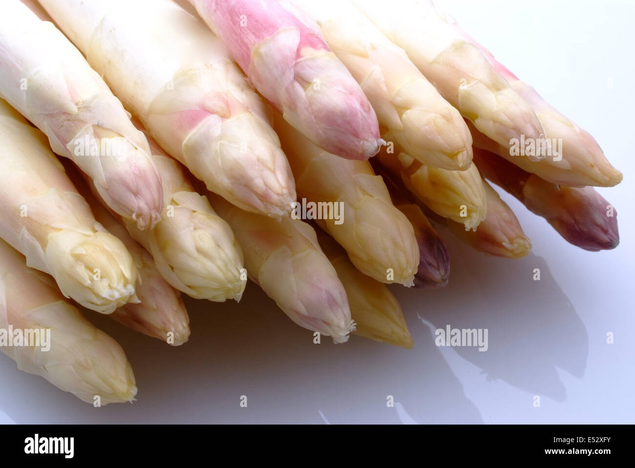 Fresh harvesting asparagus from Beelitz / Germany Brandenburg Stock