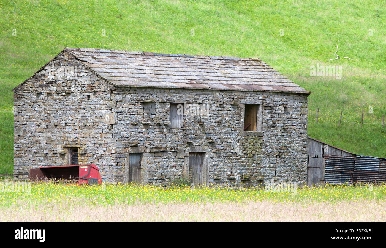 A traditional stone barn and wildflower meadow in Upper Swaledale, Yorkshire Dales National Park, North Yorkshire, England, UK Stock Photo