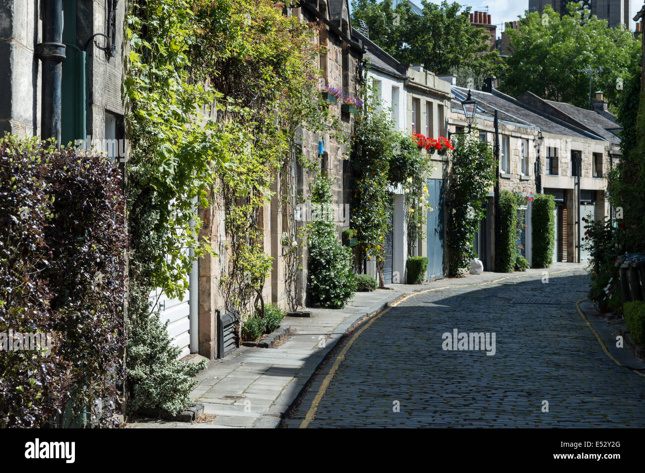 Mews cottages in Circus Lane, Edinburgh New Town Stock Photo Alamy