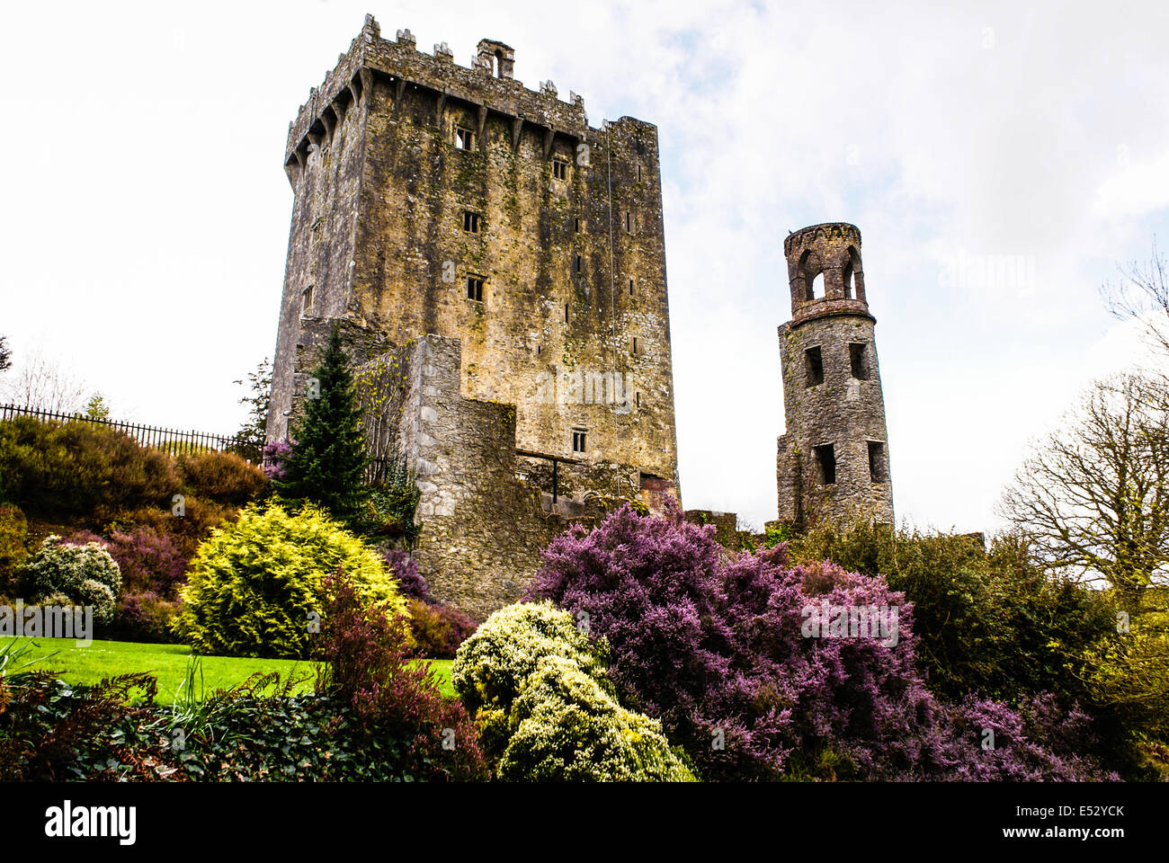 Irish castle of Blarney , famous for the stone of eloquence. Ireland