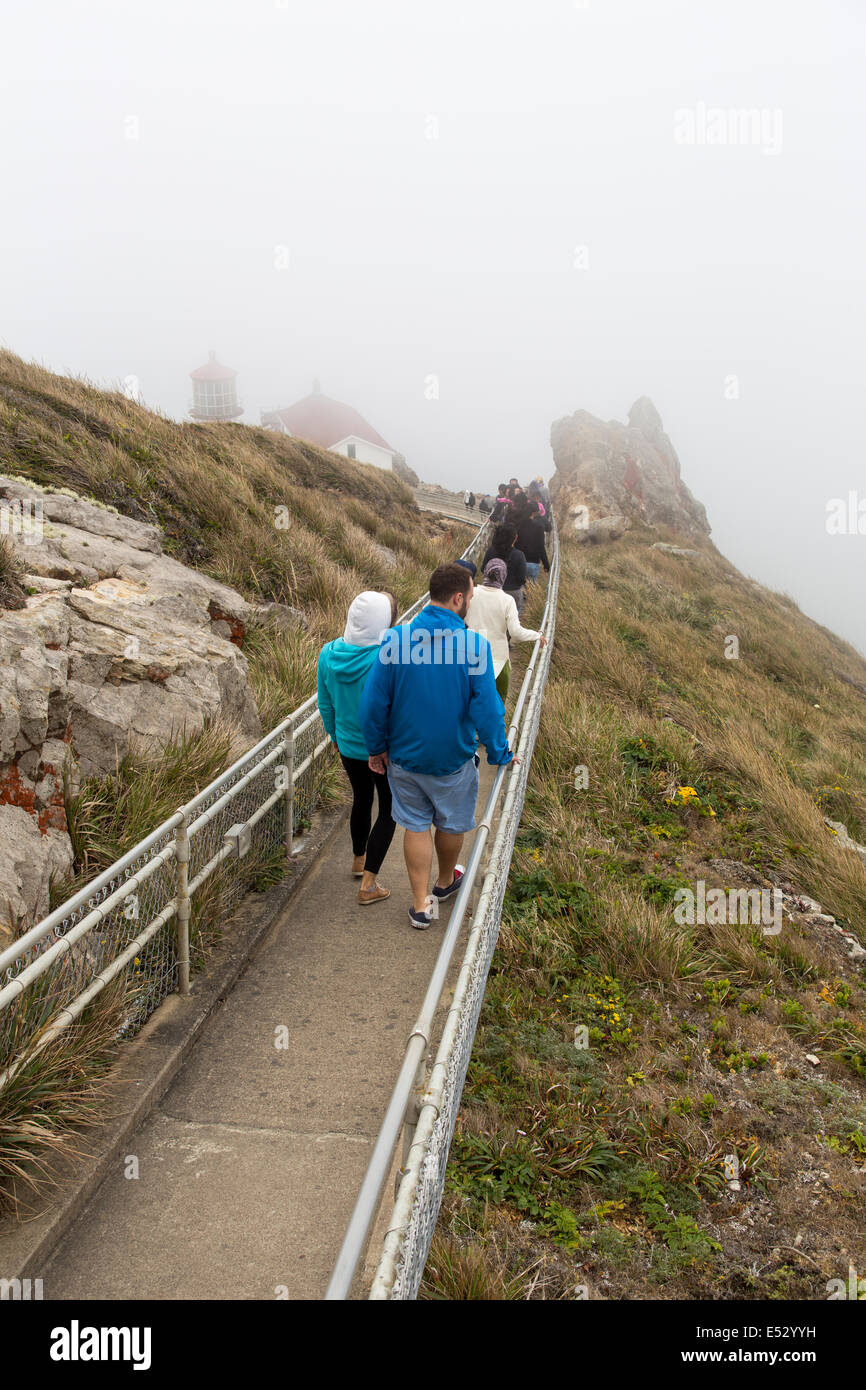 People tourists on stairway to Point Reyes Lighthouse in Point Reyes National Seashore Marin County California United States Stock Photo