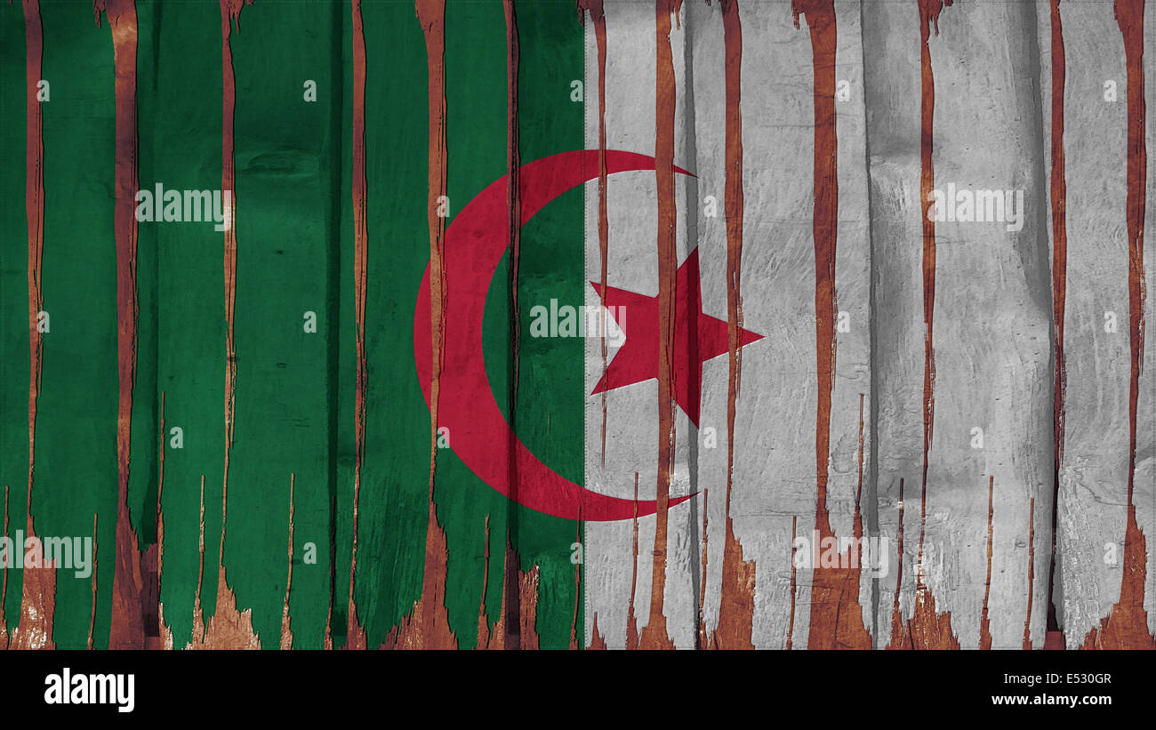 Algeria flag paint on wood vertical texture Stock Photo - Alamy