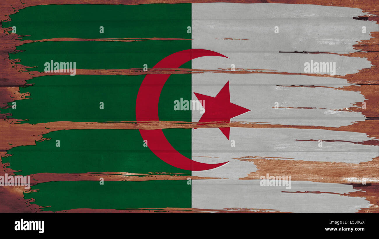 Algeria flag paint on wood horizontal texture Stock Photo - Alamy