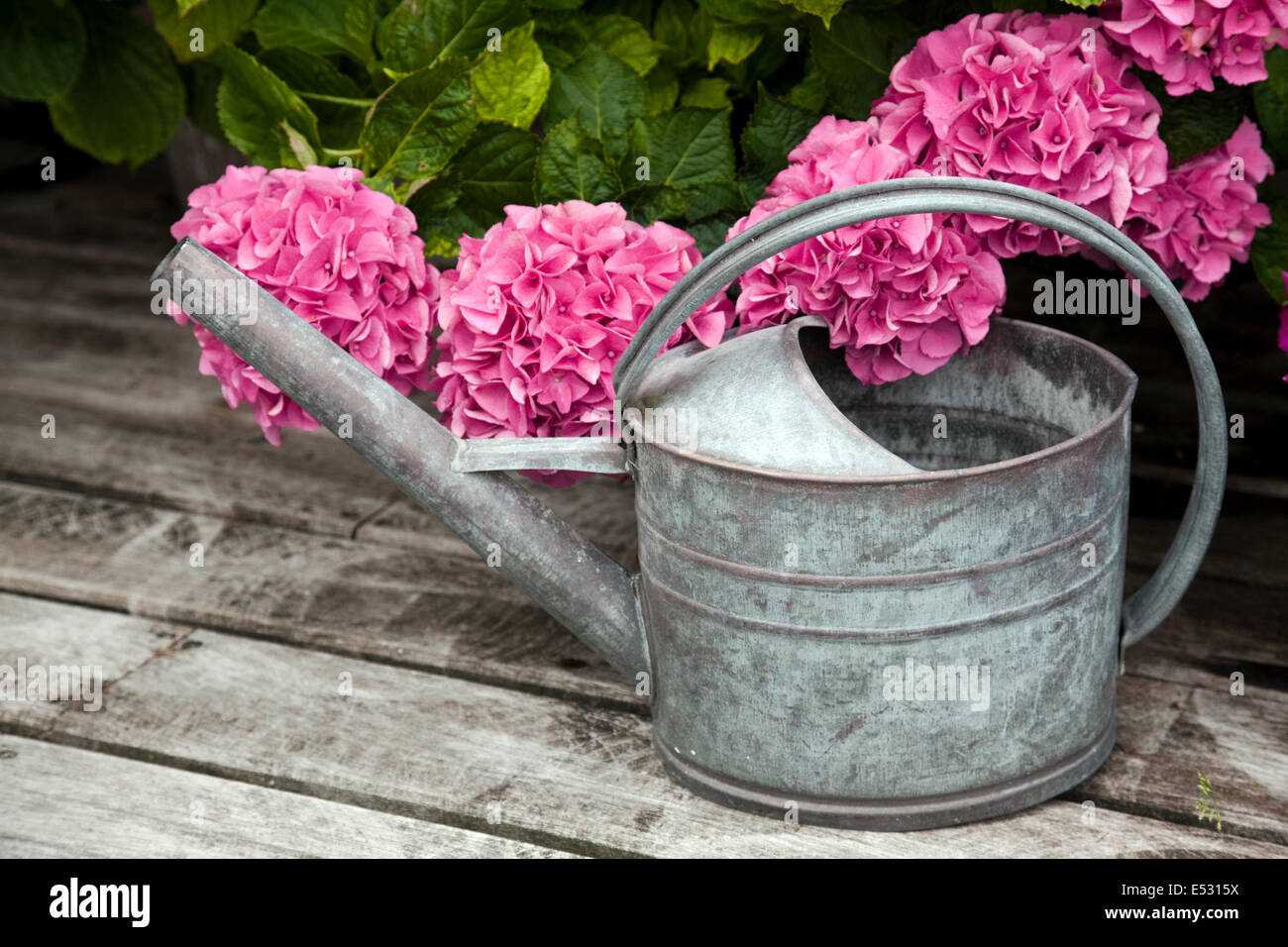 Vintage Style Pink Zinc Metal Planters Buckets Watering Can Garden Herbs Flowers 