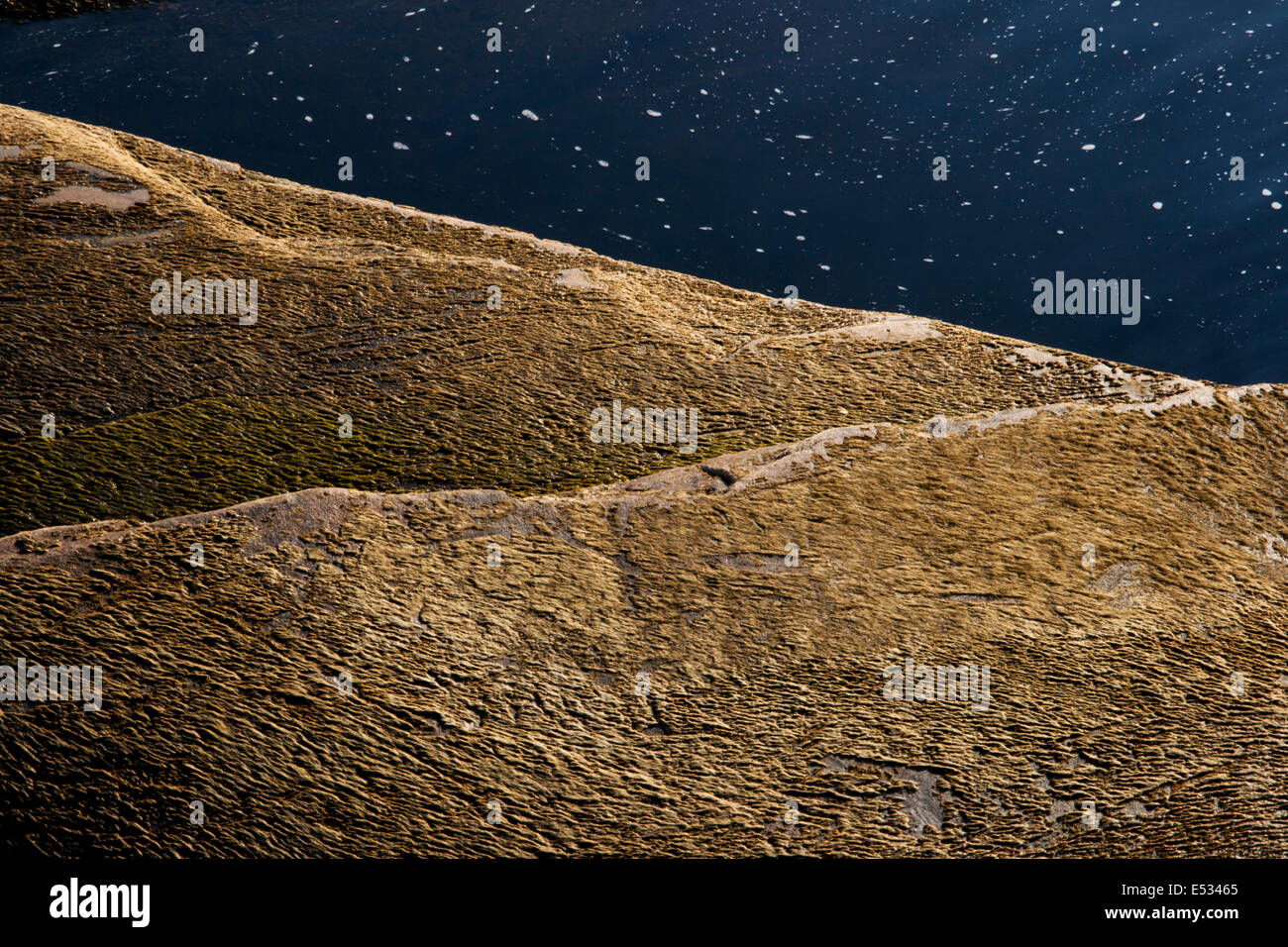 Abstract of two algae covered rocks with water behind during dry spell ...