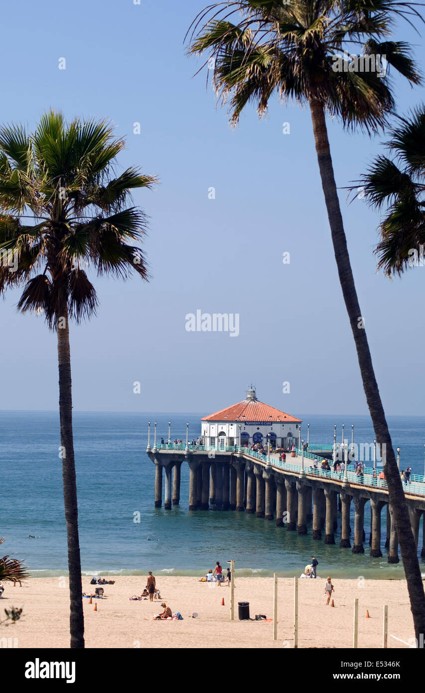 Los angeles palm trees hires stock photography and images Alamy