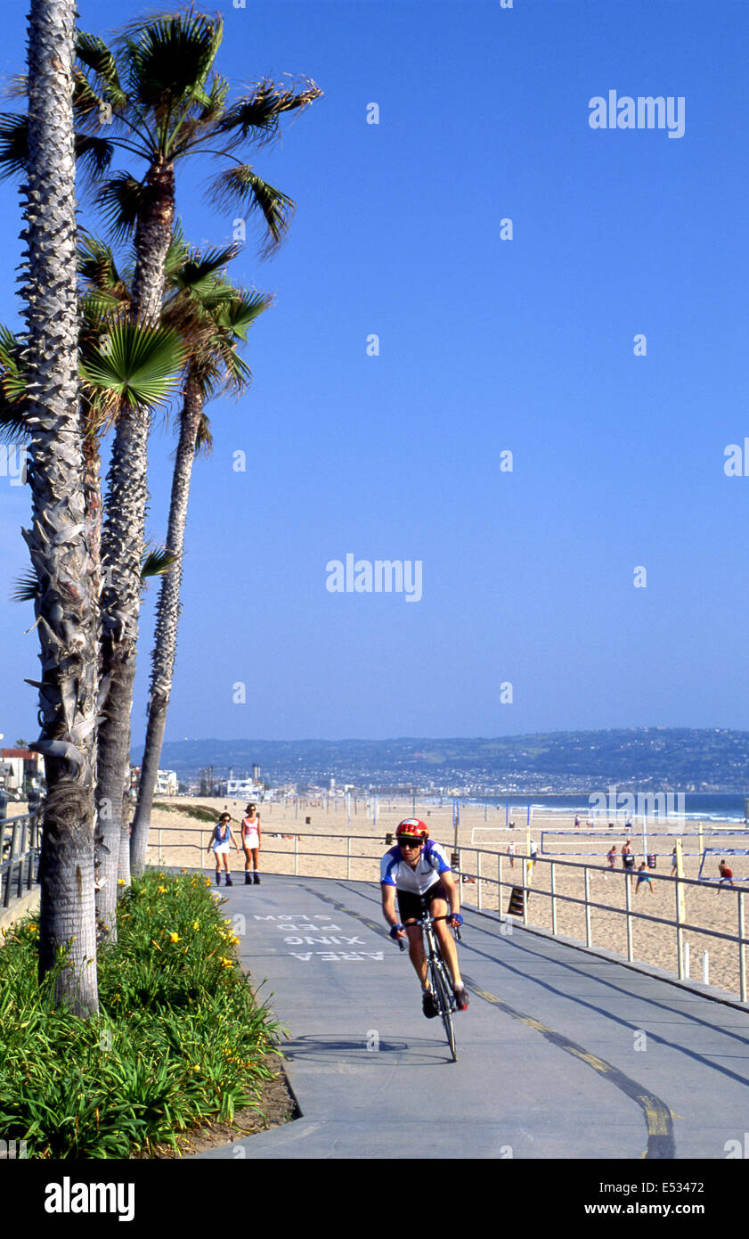 Manhattan Beach bike path Stock Photo Alamy Manhattan Beach bike path Stock Photo Alamy