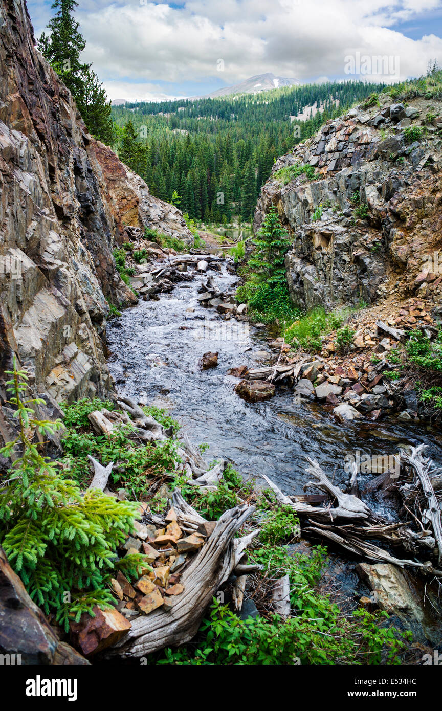 Creek drainage from Boss Lake Reservoir; Chaffee County; Colorado; USA Stock Photo