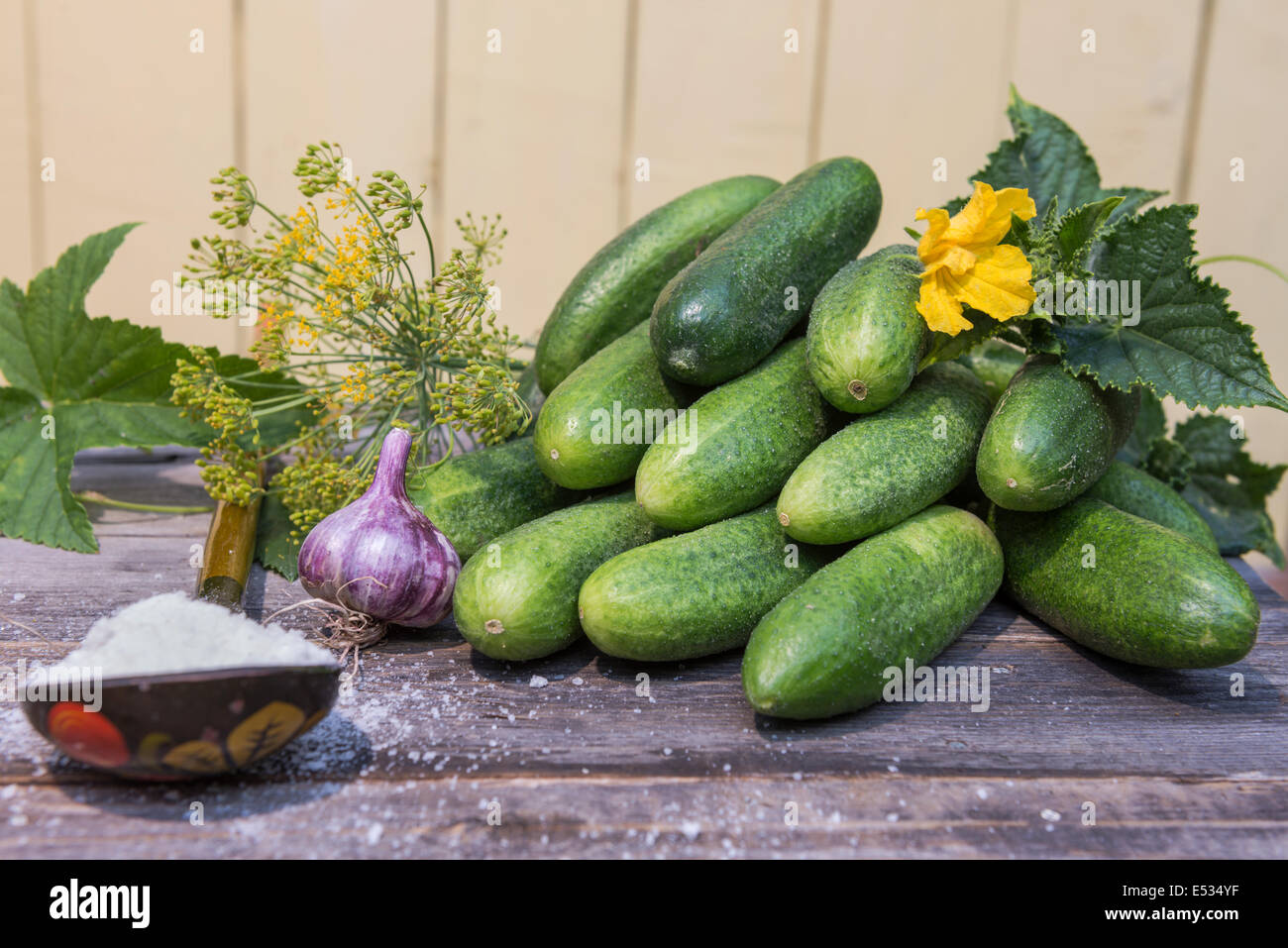 collected cucumbers and ingredients for their salting Stock Photo Alamy