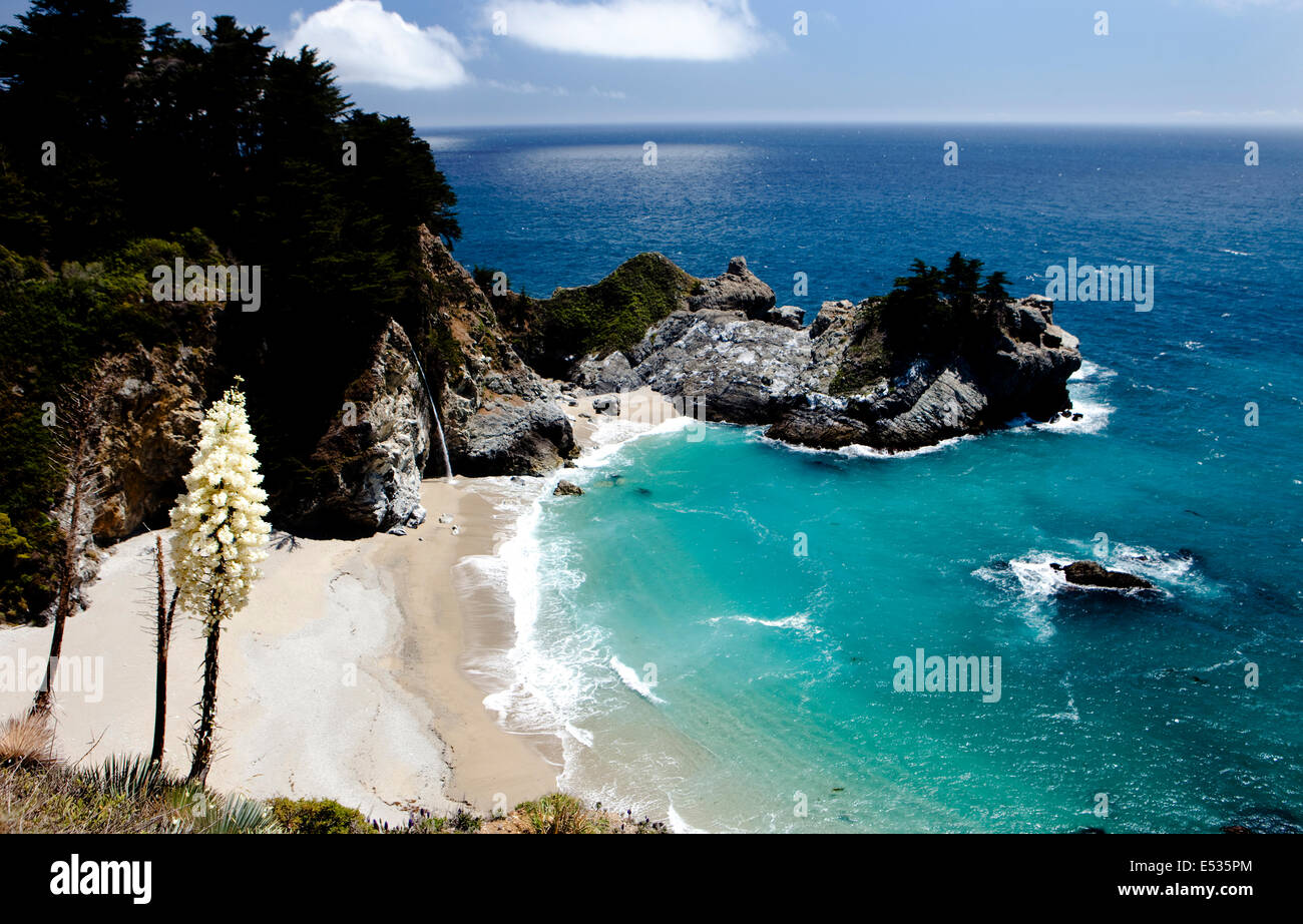 McWay Falls, Julia Pfeiffer Burns State Park, Big Sur, California, USA Stock Photo