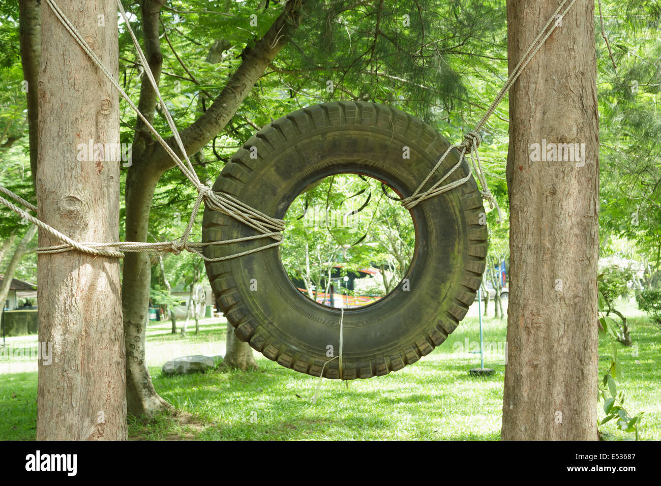 Scout activity forest hires stock photography and images Alamy