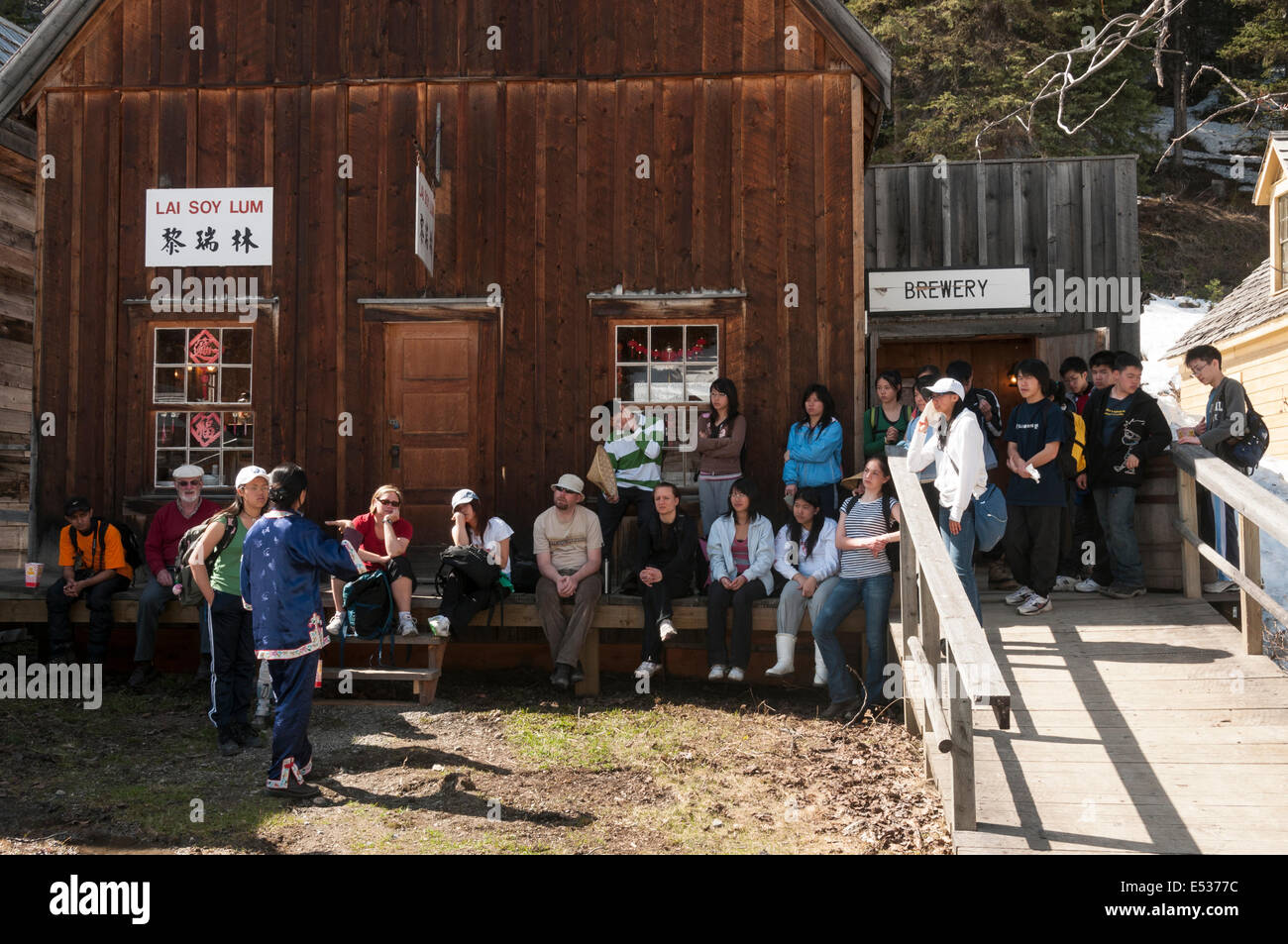Elk2033258 Canada, British Columbia, Barkerville Historic Town