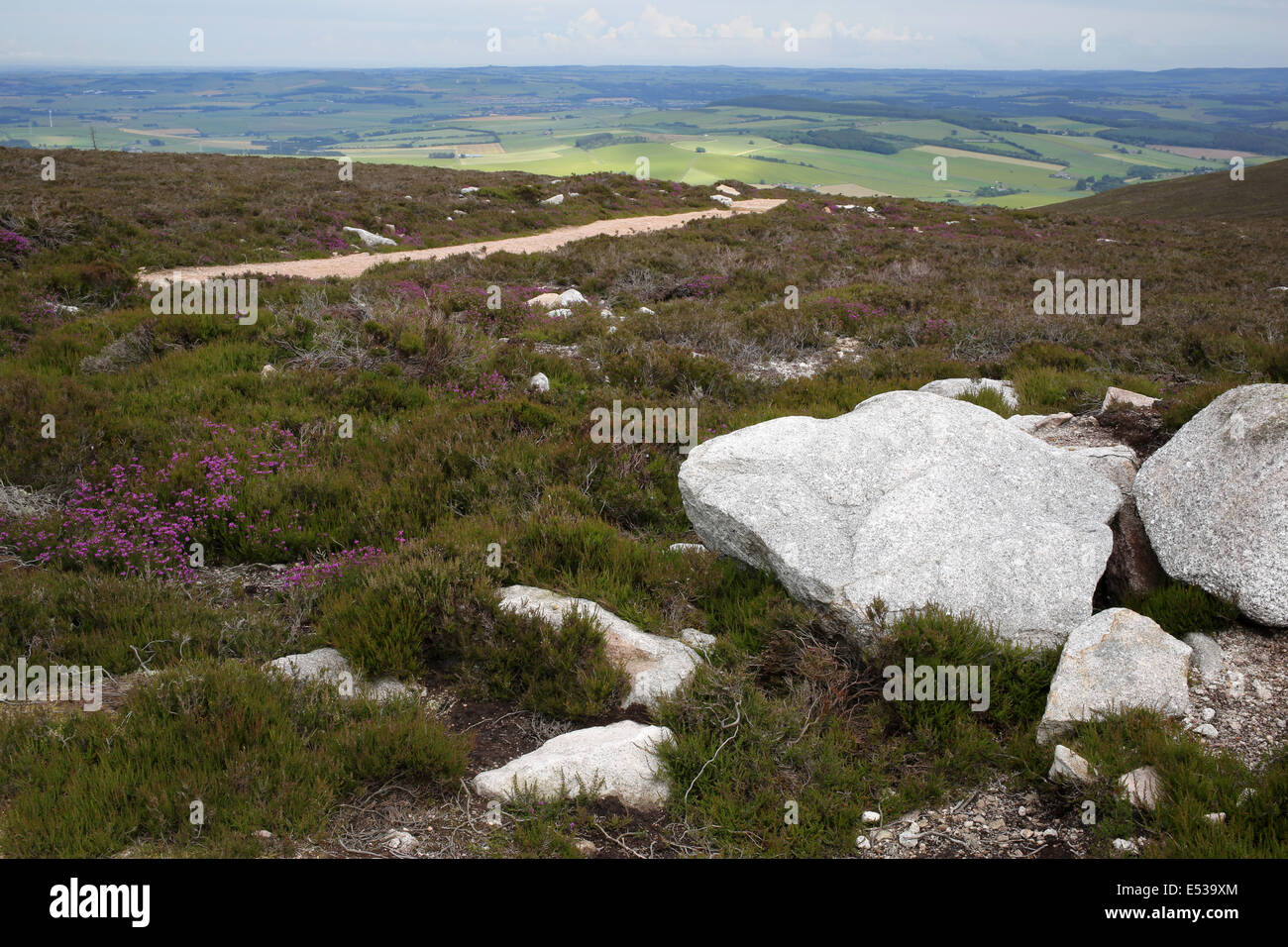Eastward view of the surounding Aberdeenshire countryside from the