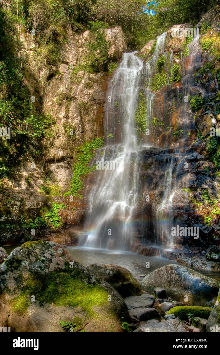 Minnamurra Falls, Budderoo National Park, New South Wales, Australia Stock Photo