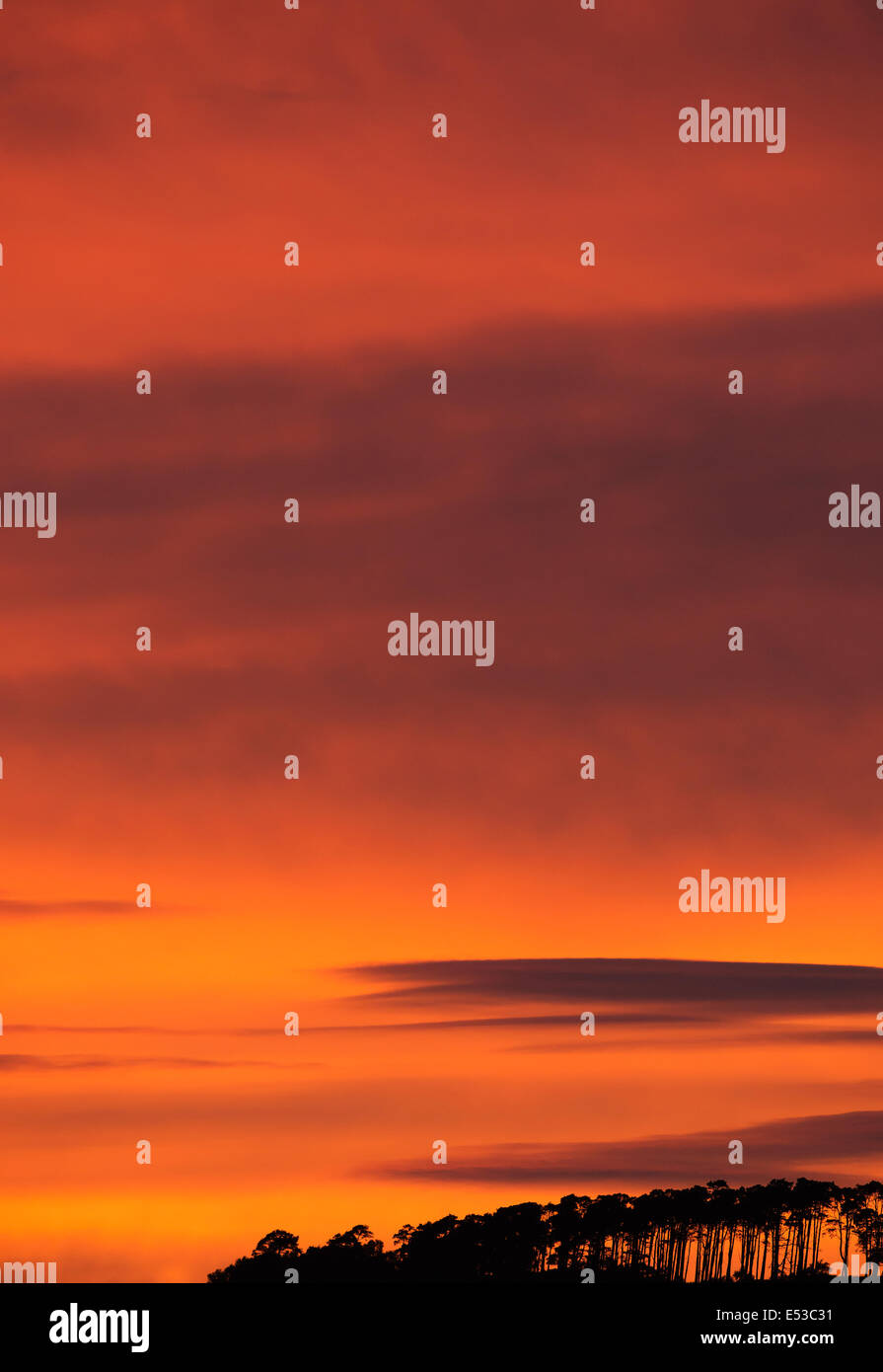 Vivid striking sunset on the Black Isle, Scotland Stock Photo