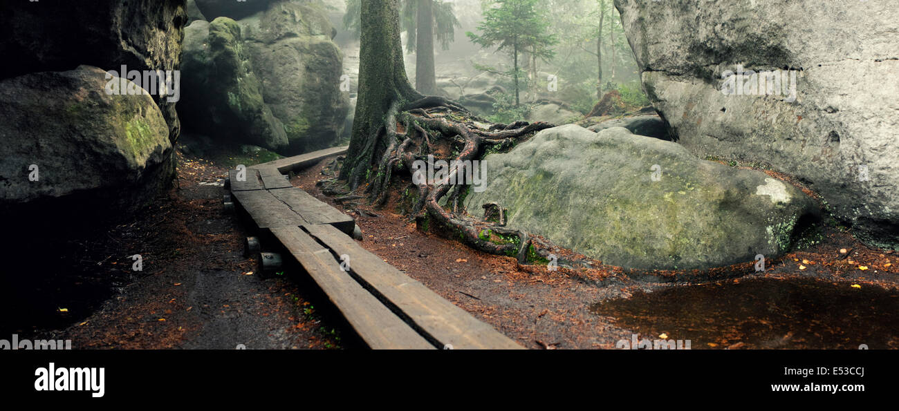 'Błędne Skały' labirynth, 'Góry Stołowe' national park in Poland Stock Photo