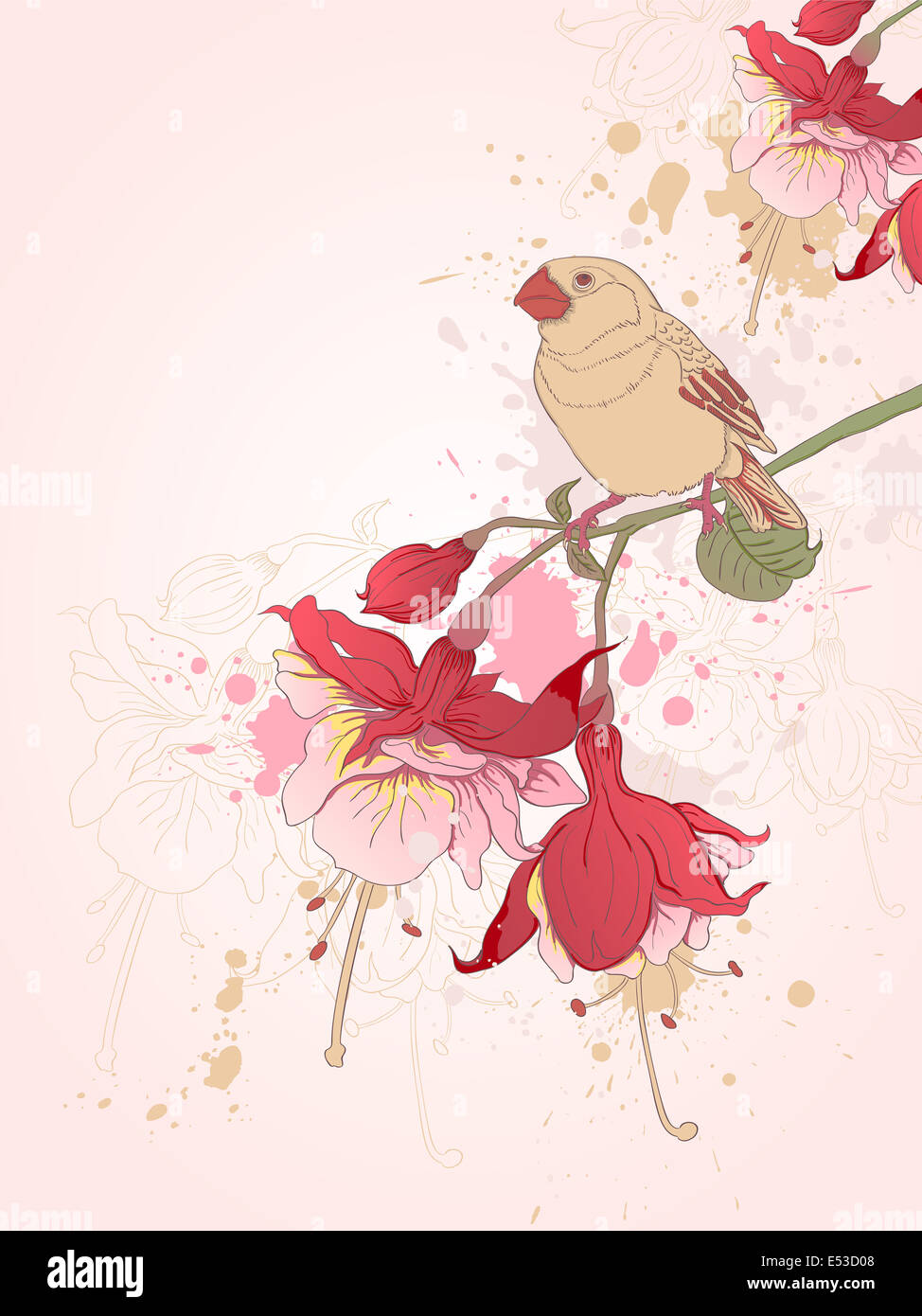 hand drawn floral background with bird Stock Photo - Alamy