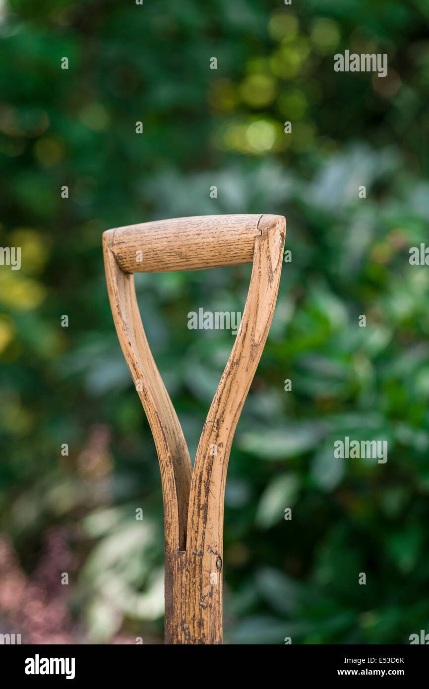 Close up of old, well used wooden handle, belonging to a garden spade. Stock Photo