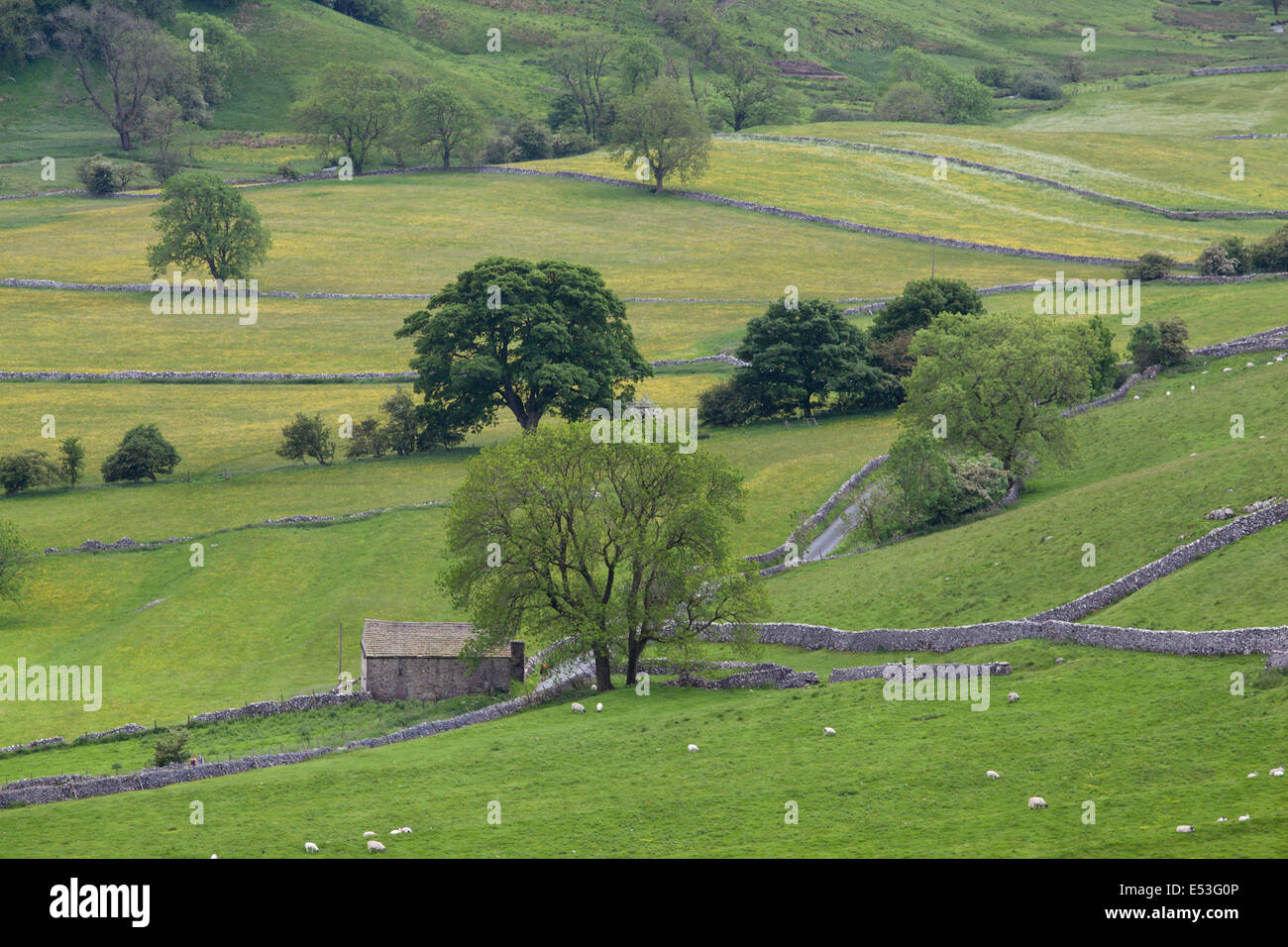 Narrow country road winding its way through the Yorkshire Dales, Malham, Malhamdale, Yorkshire Dales, UK Stock Photo