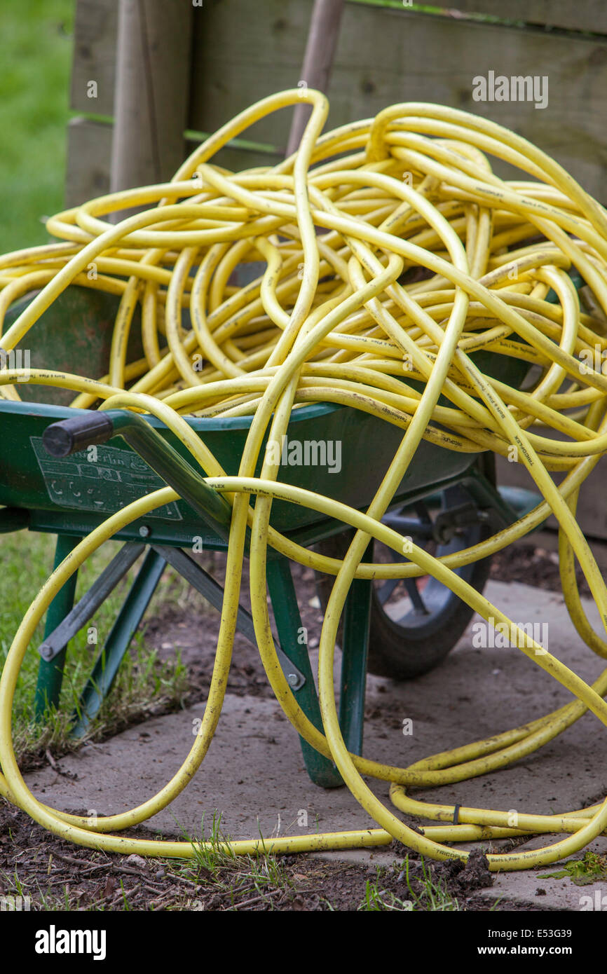 Untidy garden hose in a wheelbarrow, England, UK Stock Photo